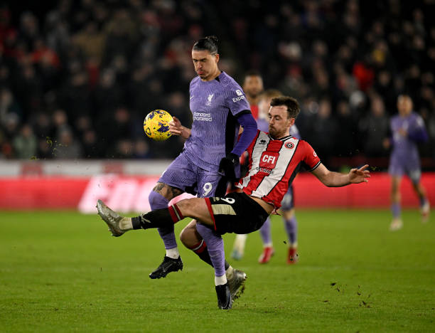 球迷们对他 球迷们对他