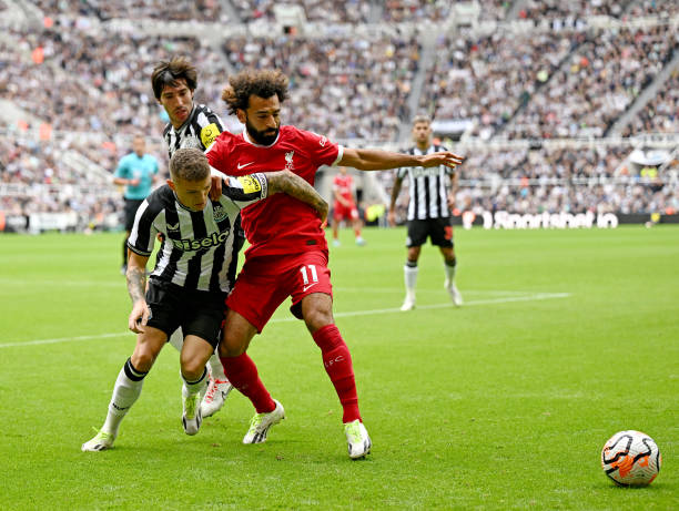 疑是一种失 疑是一种失