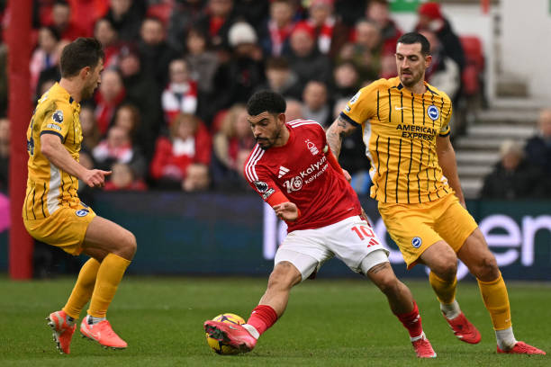 中立于不败 中立于不败